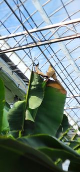 팜모닝 양파·자유게시판 게시글 이미지