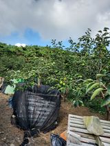 팜모닝 · 게시글 이미지