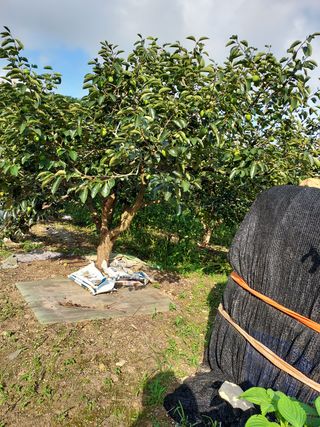 부부농원님의 팜모닝 · 출석 작성글 사진