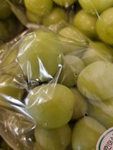 팜모닝 콩·자유게시판 게시글 이미지