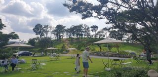 감22374님의 사과 · 일상 작성글 사진