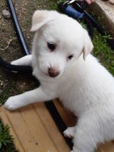 팜모닝 팜모닝·출석 게시글 이미지