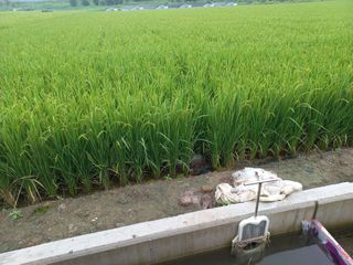 없 슴돠님의 팜모닝 · 출석 작성글 사진