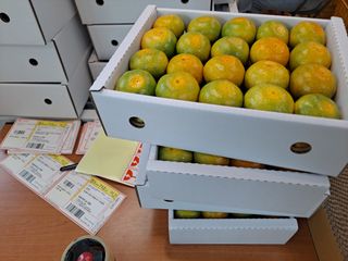 출석~*^^님의 팜모닝 · 출석 작성글 사진