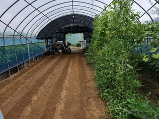 박진희님의 팜모닝 · 출석 작성글 사진