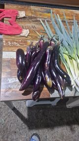 팜모닝 팜모닝·출석 게시글 이미지