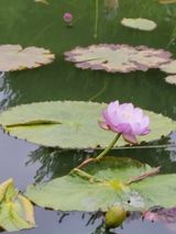 팜모닝 팜모닝·출석 게시글 이미지