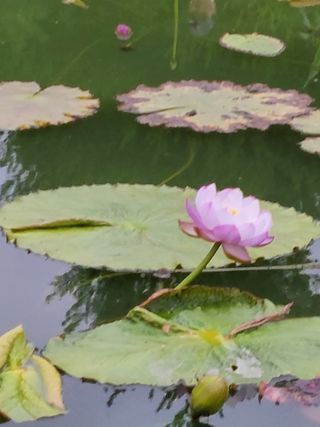 종훈님의 팜모닝 · 출석 작성글 사진