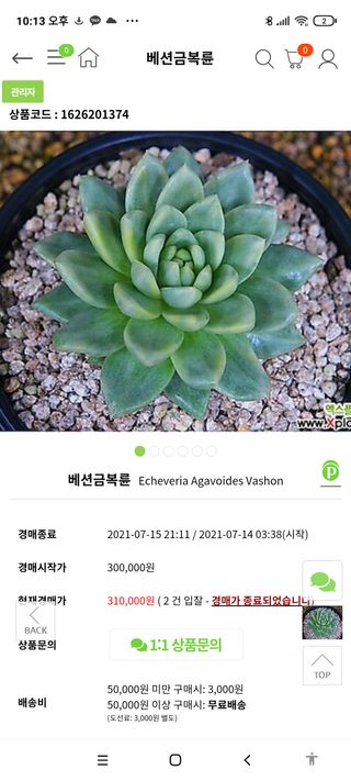 이양규님의 기타작물 · 병해충상담 작성글 사진