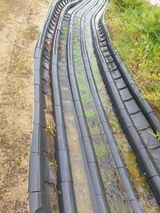 팜모닝 고추·일상 게시글 이미지