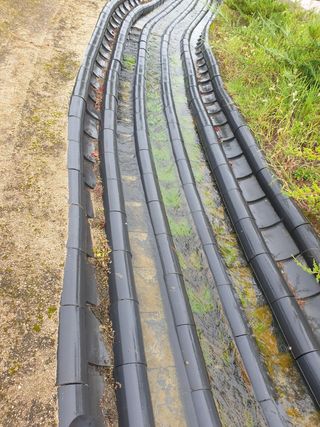 사연님의 고추 · 일상 작성글 사진