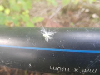 알 수 없음님의 기타작물 · 병해충상담 작성글 사진