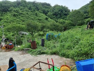 복자곰농장님의 배 · 일상 작성글 사진