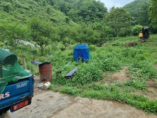 복자곰농장님의 배 · 일상 작성글 사진