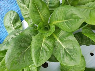 서근수님의 팜모닝 · 출석 작성글 사진