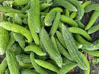 노미경의건강소담님의 양배추 · 자유게시판 작성글 사진