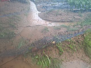 노미경의건강소담님의 팜모닝 · 출석 작성글 사진