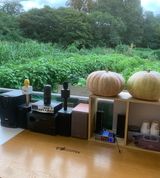 팜모닝 오이·자유게시판 게시글 이미지