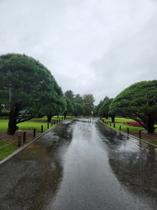 김현화님의 팜모닝 · 출석 작성글 사진