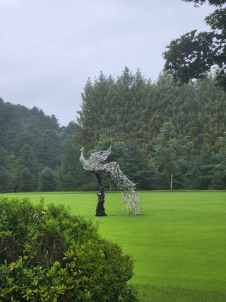 김현화님의 팜모닝 · 출석 작성글 사진