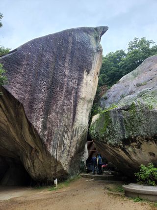 김현화님의 팜모닝 · 출석 작성글 사진
