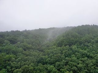 심수보 님의 팜모닝 · 출석 작성글 사진