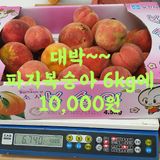 팜모닝 · 게시글 이미지