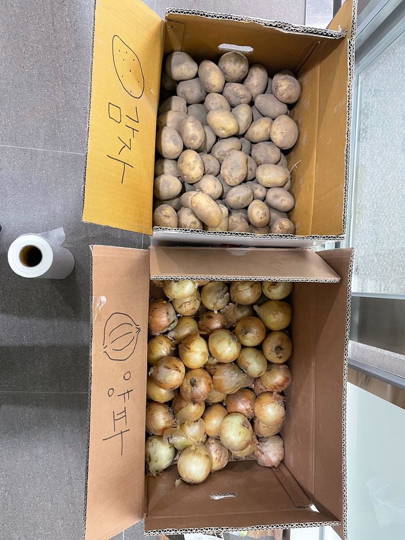 장터 상품 [직접 키운 양파, 마늘 소량 판매해봅니다^^  1.감자] 썸네일