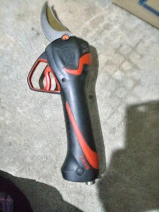 조갑선님의 팜모닝 · 출석 작성글 사진