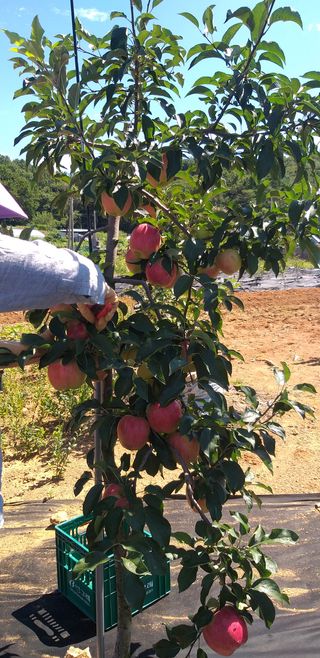 김무석님의 팜모닝 · 출석 작성글 사진