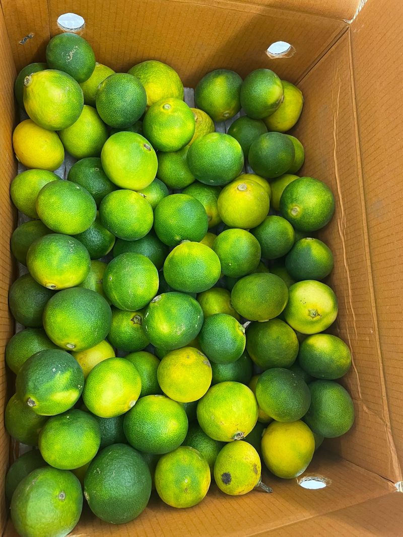 장터 상품 [파랗고 예쁜 청귤 팝니다. 청 담가먹으면 매우 맛있습니] 썸네일