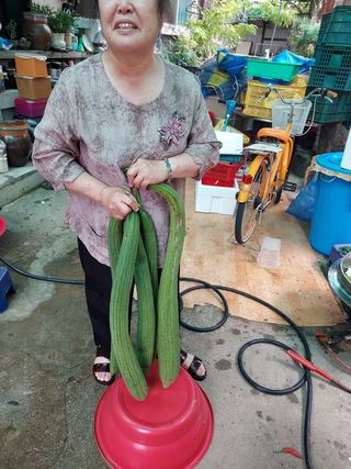 부부농원님의 팜모닝 · 출석 작성글 사진