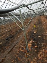 팜모닝 포도·병해충상담 게시글 이미지