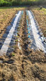 팜모닝 사과·일상 게시글 이미지