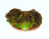 팜모닝 팜모닝·출석 게시글 이미지