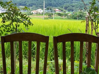 밝은숲님의 팜모닝 · 출석 작성글 사진