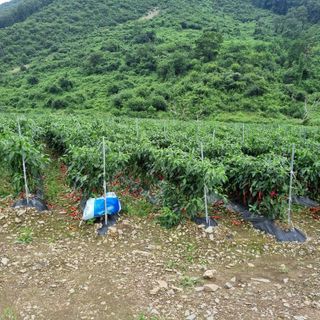 김대권님의 팜모닝 · 출석 작성글 사진