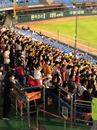 지안이/손주농장주인님의 자두 · 자유게시판 작성글 사진