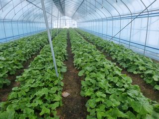 최종범님의 작성글 사진