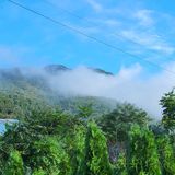 팜모닝 복숭아·자유게시판 게시글 이미지