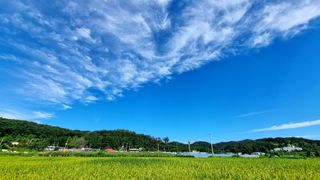 희망농부58님의 시금치 · 일상 작성글 사진