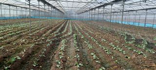 이미순제주님의 팜모닝 · 출석 작성글 사진