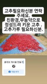 팜모닝 팜모닝·출석 게시글 이미지