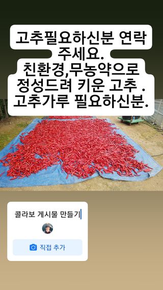 위승석님의 팜모닝 · 출석 작성글 사진
