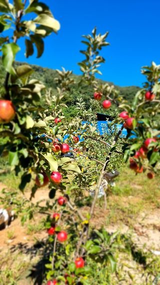별난기은님의 팜모닝 · 출석 작성글 사진