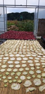 팜모닝 매실·자유게시판 게시글 이미지