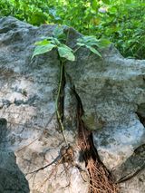 팜모닝 팜모닝·출석 게시글 이미지