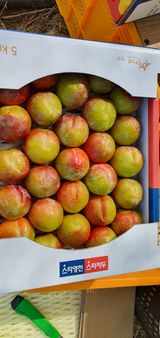 팜모닝 팜모닝·출석 게시글 이미지