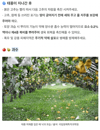 팜모닝님의 벼 · 농사길잡이 작성글 사진