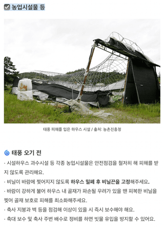 팜모닝님의 벼 · 농사길잡이 작성글 사진